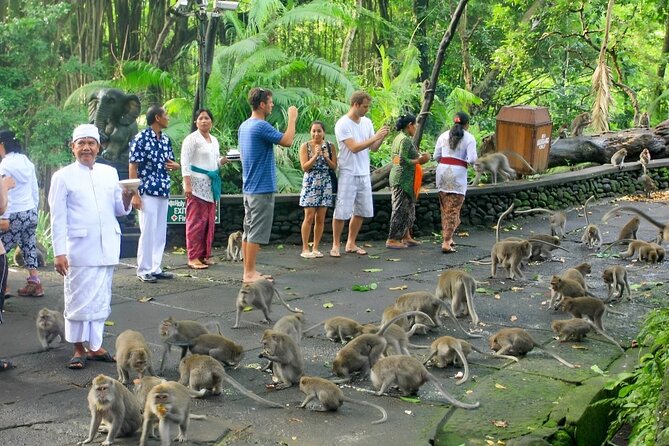 Ubud Day Tour: Sacred Monkey Forest, Tegenungan Waterfall, Rice Terrace - Ubud Traditional Art Market: Your Best Chance to Slow Down