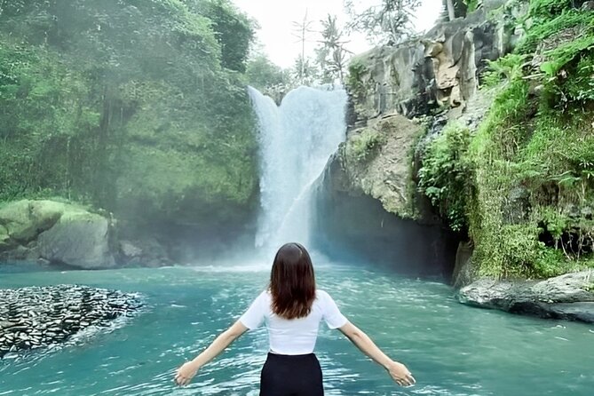 Ubud Day Tour: Sacred Monkey Forest, Tegenungan Waterfall, Rice Terrace - Sacred Monkey Forest: A Green Start With Alert Animals