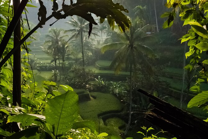 Ubud Day Tour - Top Things to do in Ubud + Local Ubud Guide - Tegalalang Rice Terrace: Ubud’s classic view