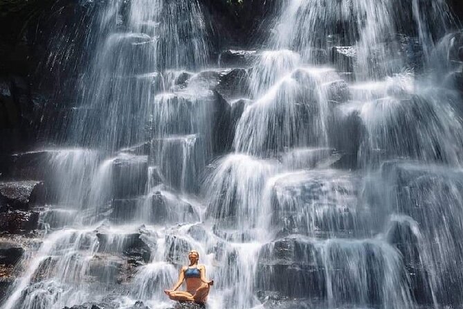 Ubud Day Tour : Waterfall, Temple and Local Night Market Tour - What the $21 price really covers