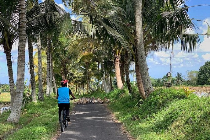 Ubud: Downhill Cycling with Volcano, Rice Terraces and Meal - Small groups and guides make the difference