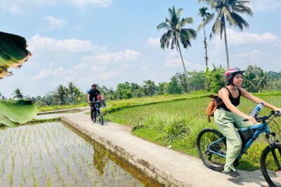 Ubud eBikes Tour to Tegallalang Rice Terrace