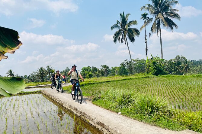 Ubud eBikes Tour to Tegallalang Rice Terrace - Temples, Hindu customs, and the irrigation system