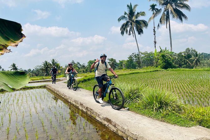 Ubud eBikes Tour to Tegallalang Rice Terrace - Coffee, tea, and the optional extras