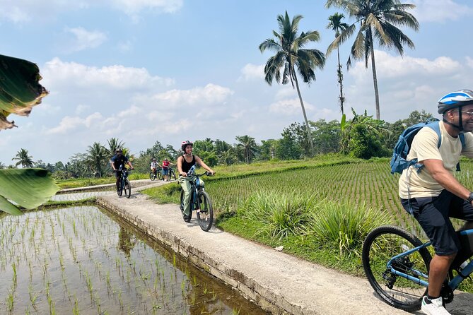 Ubud eBikes Tour to Tegallalang Rice Terrace - How difficult is the cycling?