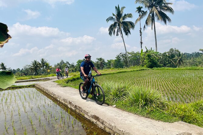 Ubud eBikes Tour to Tegallalang Rice Terrace - The guides make the difference