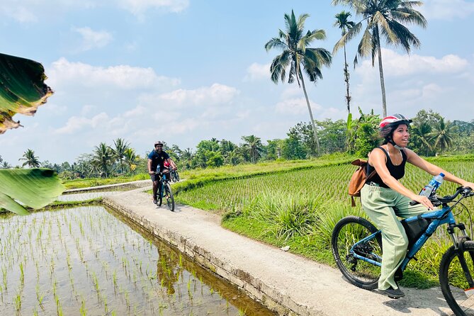 Ubud eBikes Tour to Tegallalang Rice Terrace - Starting near Tegallalang, not central Ubud