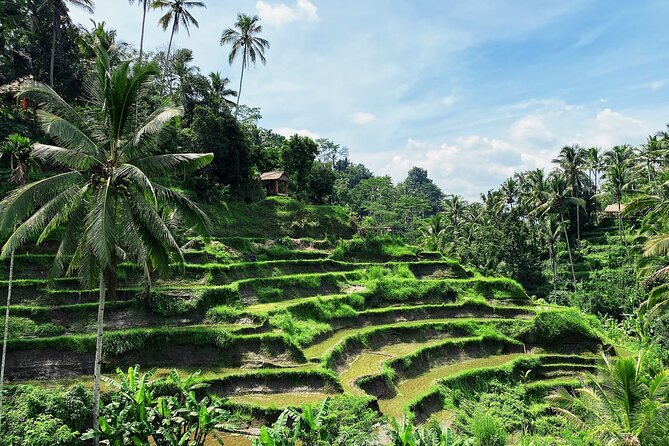 Ubud Experience | Full Day Private Tour in Ubud | FREE WIFI - Tirta Empul, a temple built around holy springs