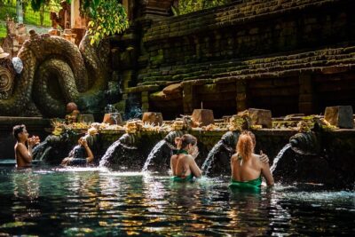 Ubud Experience | Full Day Private Tour in Ubud | FREE WIFI