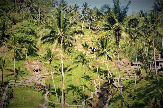 Ubud Experience | Full Day Private Tour in Ubud | FREE WIFI - Tegenungan Waterfall and the choice between nature and shopping