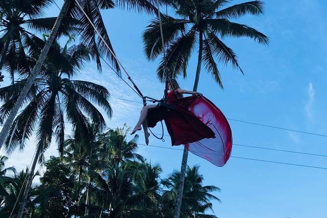 Ubud Experience ; Swing, Waterfalls, Art Market, Rice Terrace - Kumulilir: a 45-minute swing stop