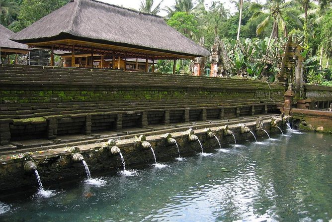 Ubud Experience ; Swing, Waterfalls, Art Market, Rice Terrace - What the private format really gives you