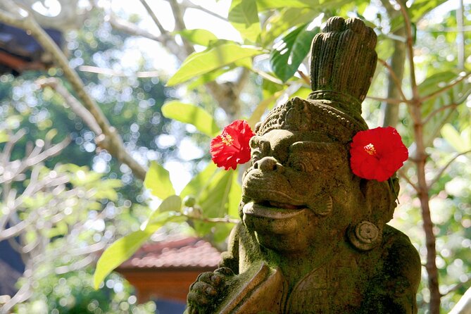 Ubud Explorer Private Day Tour - Tegalalang Rice Terrace in one focused hour