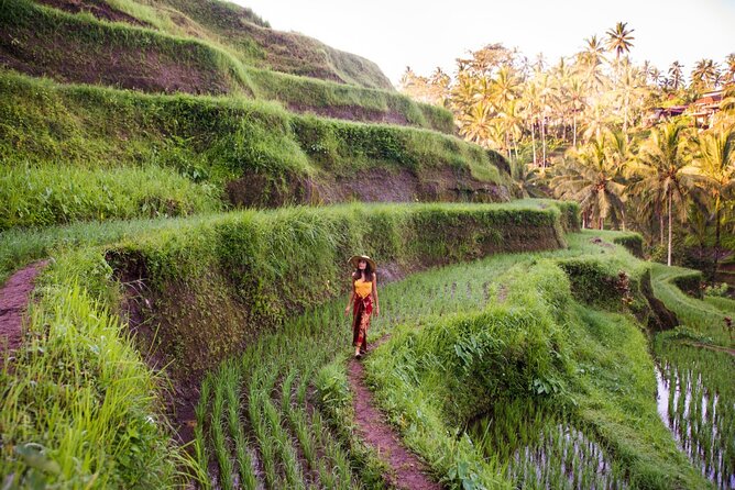Ubud Full Day ATV Adventure with Rice Terrace and Temple Ritual - Who will enjoy this Ubud day most