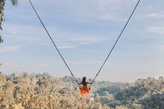 Ubud Full Day - Monkey Forest, Rice Terrace and Waterfalls Tour - Key points to know before booking