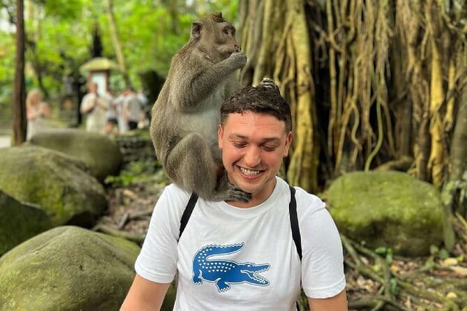 Ubud Full Day - Monkey Forest, Rice Terrace and Waterfalls Tour - Sacred Monkey Forest, where nature and temple life meet