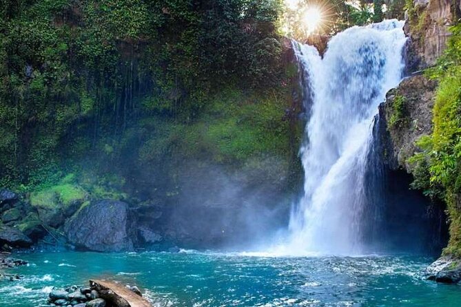 Ubud Full Day Tour Waterfall Monkey Forest Rice Terrace - What this Ubud day trip is really like
