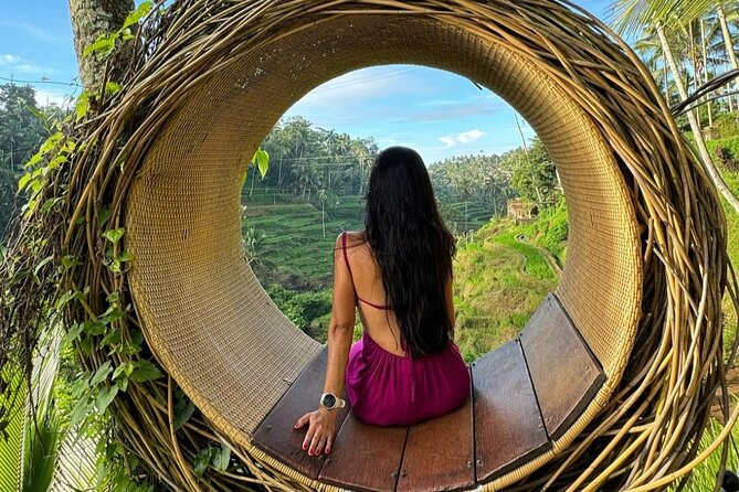 Ubud Guided Tour Monkey Forest, Waterfall, Temple & Rice Terrace. - Meeting Bali’s Long-Tailed Macaques