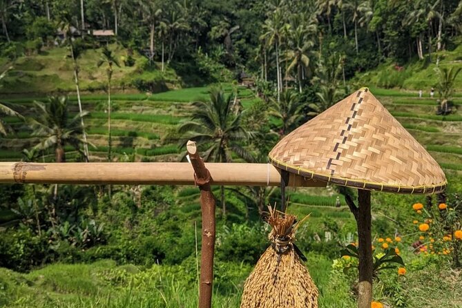 Ubud Half Day Zipline and Jungle Swing - What the six-hour Ubud outing is really like