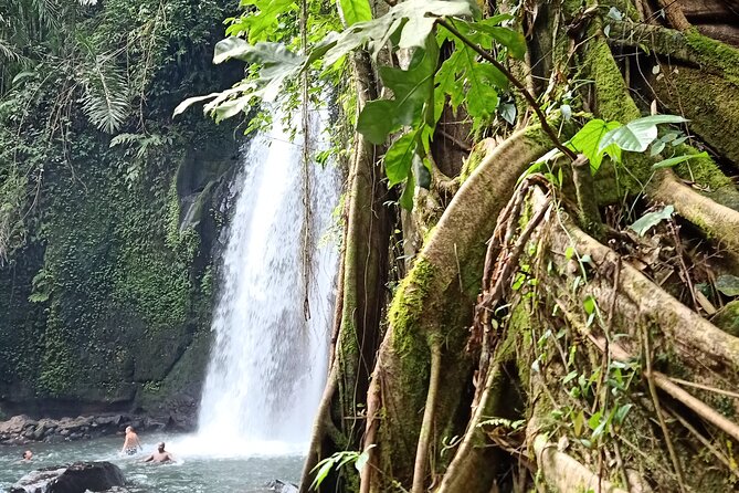 Ubud Half Day Zipline and Jungle Swing - The zipline: a light dose of adrenaline