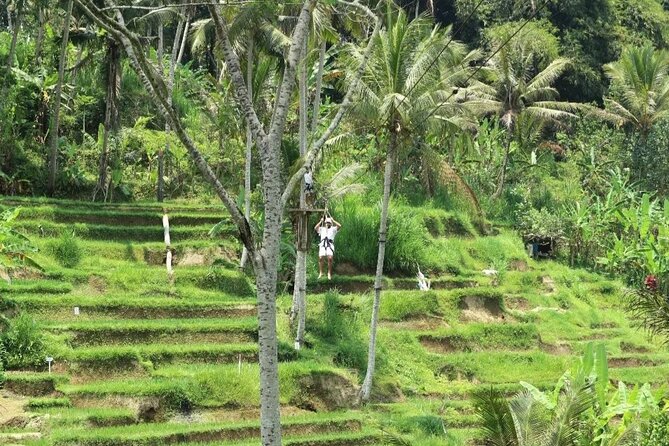 Ubud Half Day Zipline and Jungle Swing - What is included, and what you still need to pay