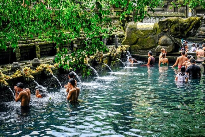 Ubud Healing Retreat Yoga, Massage, Purification & Rice Terraces - Key points to know before booking