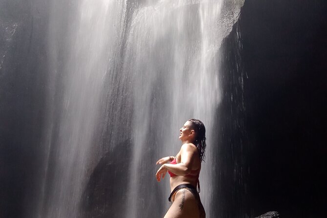 Ubud Hidden Gems Waterfalls and Private tour - What the private format really adds