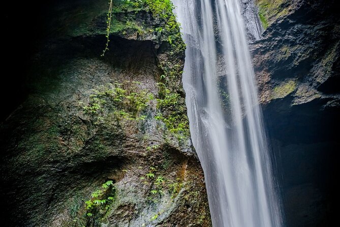 Ubud Hidden Gems Waterfalls and Private tour - Transport, pickup, and what is included