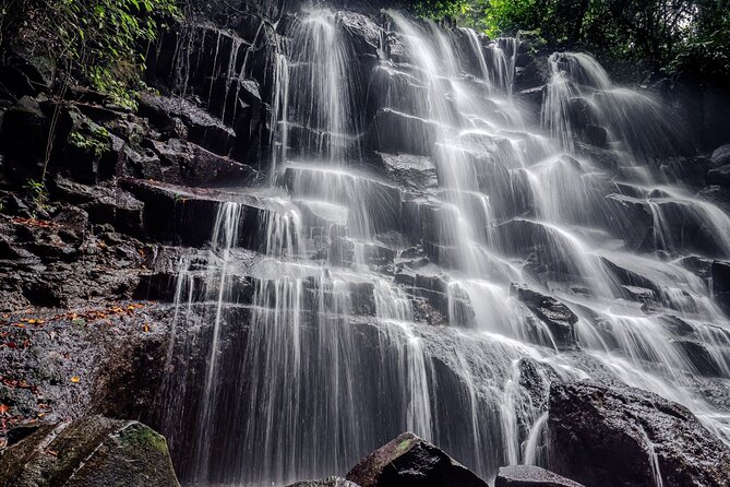 Ubud Hidden Gems Waterfalls and Private tour - Who should book this Ubud day trip?