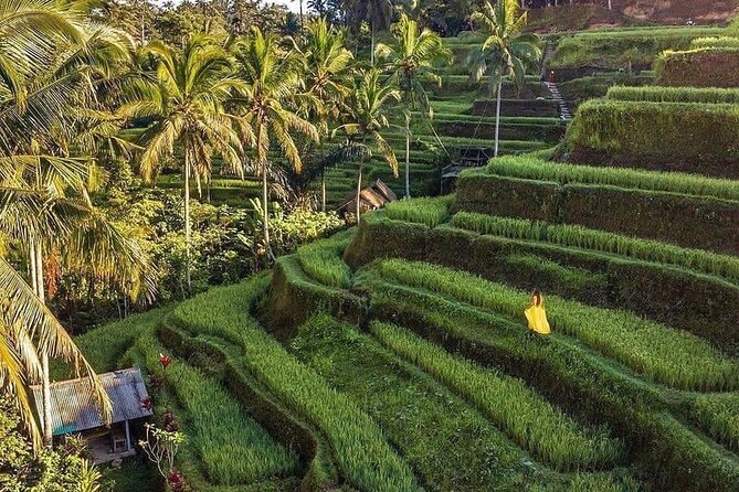 Ubud Hidden Waterfalls and Rice Terrace Tours - 12:00 at Tukad Cepung Waterfall