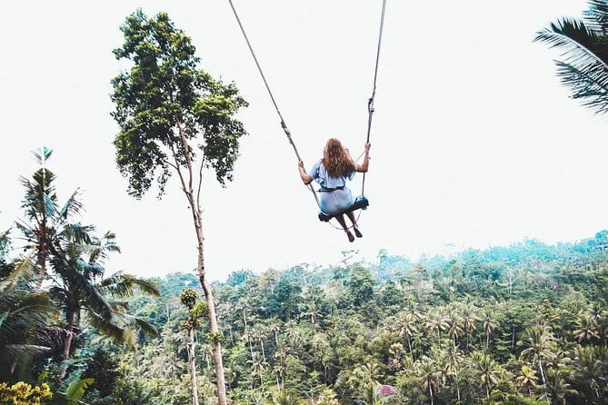 Ubud Highlight Private Charter with Jungle Swing - Tirta Empul: Holy Springs and Ritual Purification