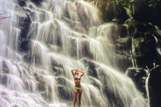 Ubud Highlight Rice Terrace,Waterfall,Temple and Art village - What this Ubud day covers