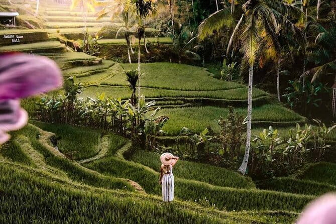 Ubud Highlights -Private Tour,Temples, Waterfalls & Rice terraces - Key things to know before booking