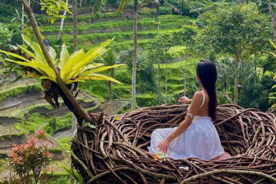 Ubud Highlights -Private Tour,Temples, Waterfalls & Rice terraces