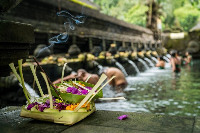 Ubud Highlights Rice Terraces, Temple, Waterfall & Monkeys forest - Walking the Tegalalang Rice Terraces
