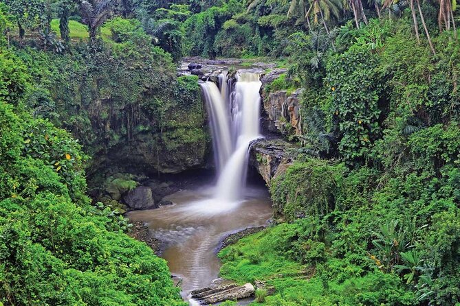 Ubud Highlights Rice Terraces, Temple, Waterfall & Monkeys forest - Cooling Off at Tegenungan Waterfall