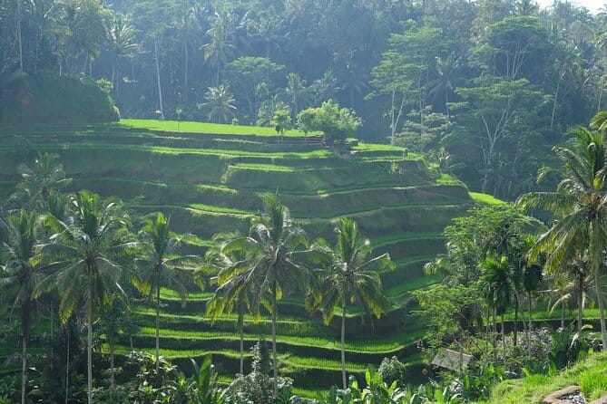 Ubud Highlights Tour ( Private All-Inclusive ) - Ubud Palace and the royal heart of town