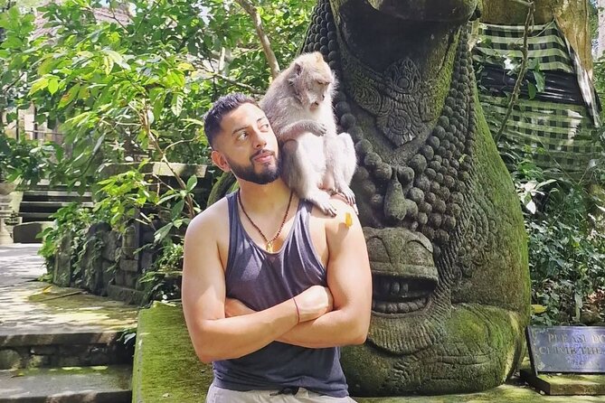 Ubud Higlights Full Day Tour - Private Tour Experience - What this Ubud day tour actually gives you