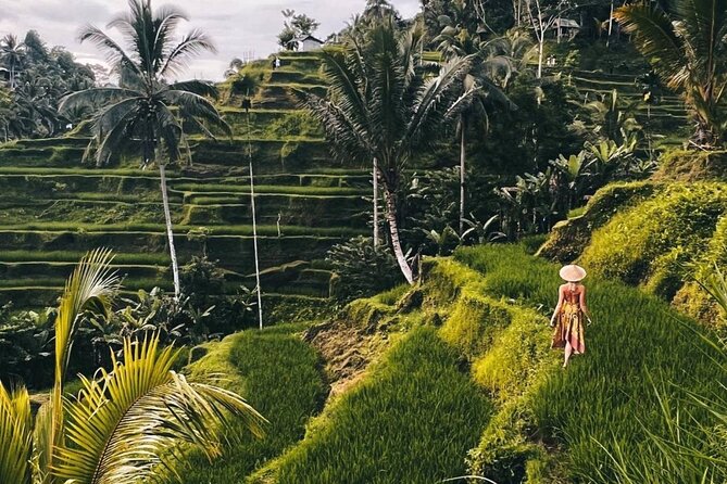Ubud Higlights Full Day Tour - Private Tour Experience - Tegalalang Rice Terrace: Bali’s farming tradition in view