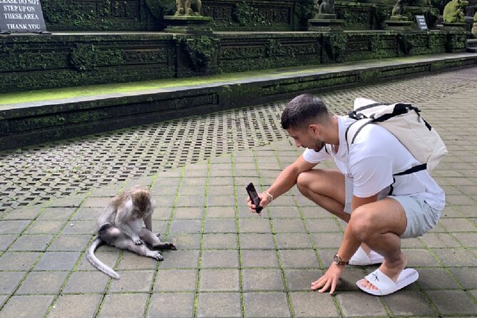 Ubud Higlights Full Day Tour - Private Tour Experience - Timing, traffic, and the real cost of the day
