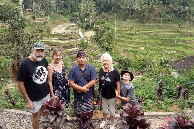 Ubud Hot Springs and Waterfall Private Guided Tour - The Bali swing and Tegalalang rice terraces