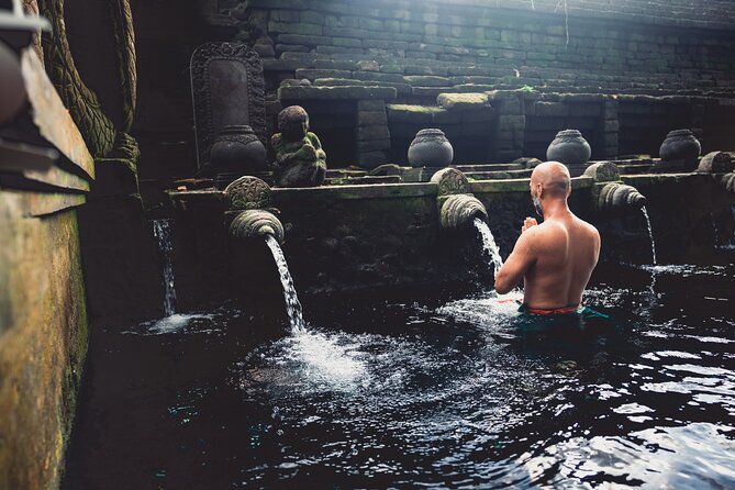 Ubud Iconic Full Day Tour Monkey Forest Rice Terraces Waterfalls - What this Ubud day tour is really designed to do