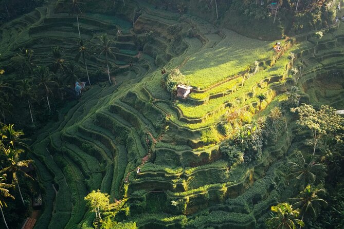 Ubud Iconic Full Day Tour Monkey Forest Rice Terraces Waterfalls - Ubud Traditional Art Market: shopping with a time limit