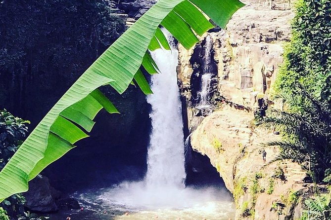 Ubud iconic waterfall and temple tours - Sacred Monkey Forest: a lively first stop