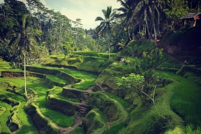 Ubud iconic waterfall and temple tours