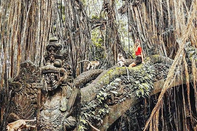 Ubud iconic waterfall and temple tours - Who will enjoy this four-stop tour most