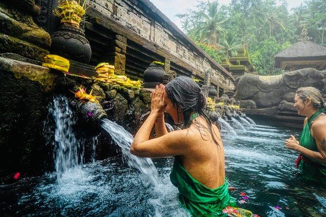 Ubud Jungle Adventure: Tirta Empul & Bali Swing - The Monkey Forest sets the tone