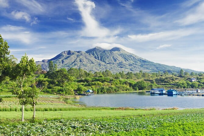 Ubud Jungle Cart Adventure + Volcano view Tour. - Taking in Mount Batur Without the Hard Hike