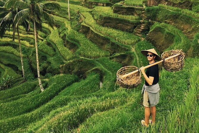 Ubud Jungle Swing - Monkey Forest - Water Temple - Waterfall - Key Points Before You Book