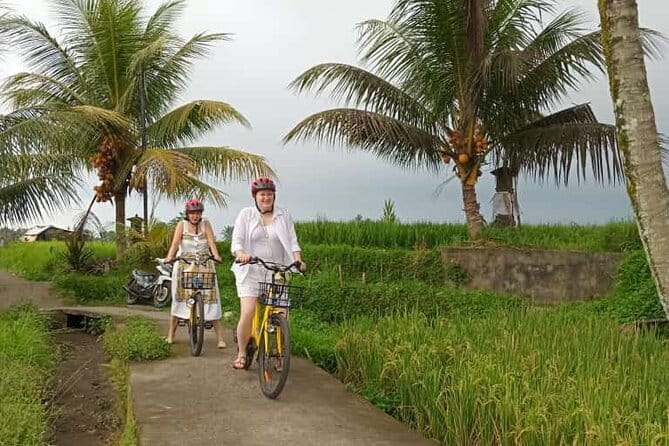 Ubud : Kintamani Downhill Cycling Tour with Lunch - Starting in Bayung Gede near Kintamani